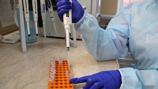 Эксперт ГКСЭ - Sputnik Беларусь