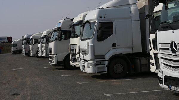 Власти Литвы могут наказать перевозчиков за оплату стоянки в Беларуси