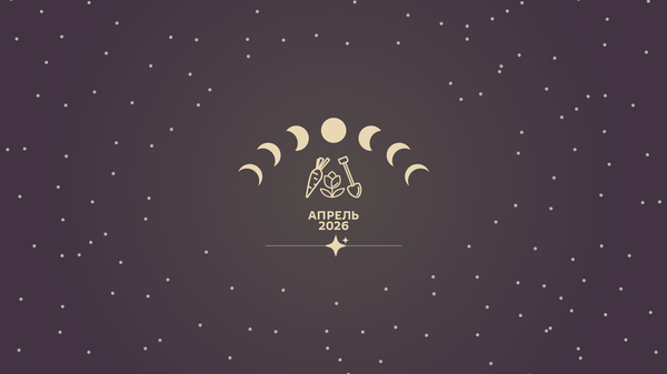 Активный период наступает: лунный календарь садовода на апрель 2026 года - Sputnik Беларусь