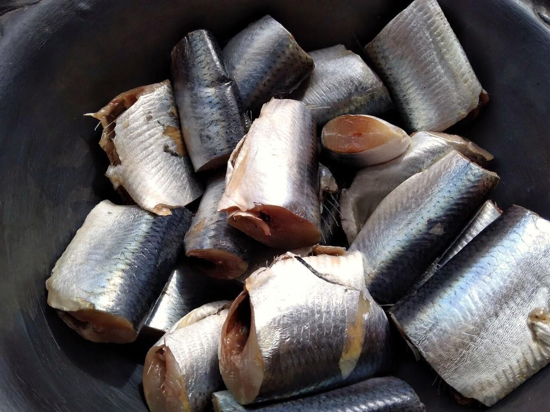 Кавалкі селядцоў - Sputnik Беларусь, 1920, 03.04.2026