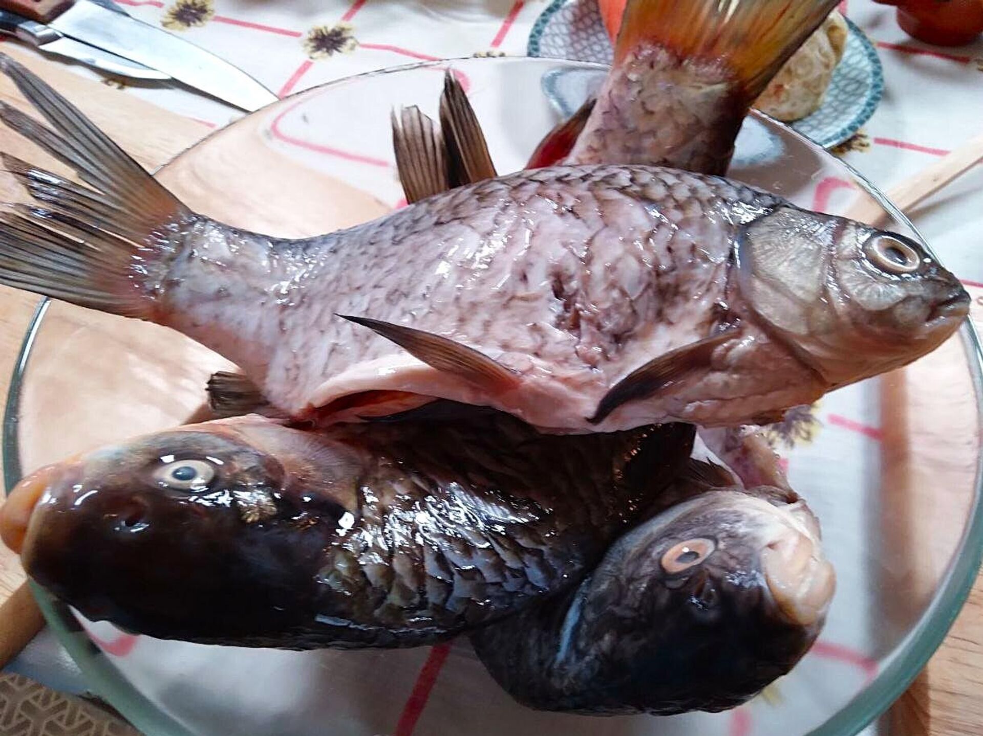 Карасі для стравы - Sputnik Беларусь, 1920, 03.04.2026