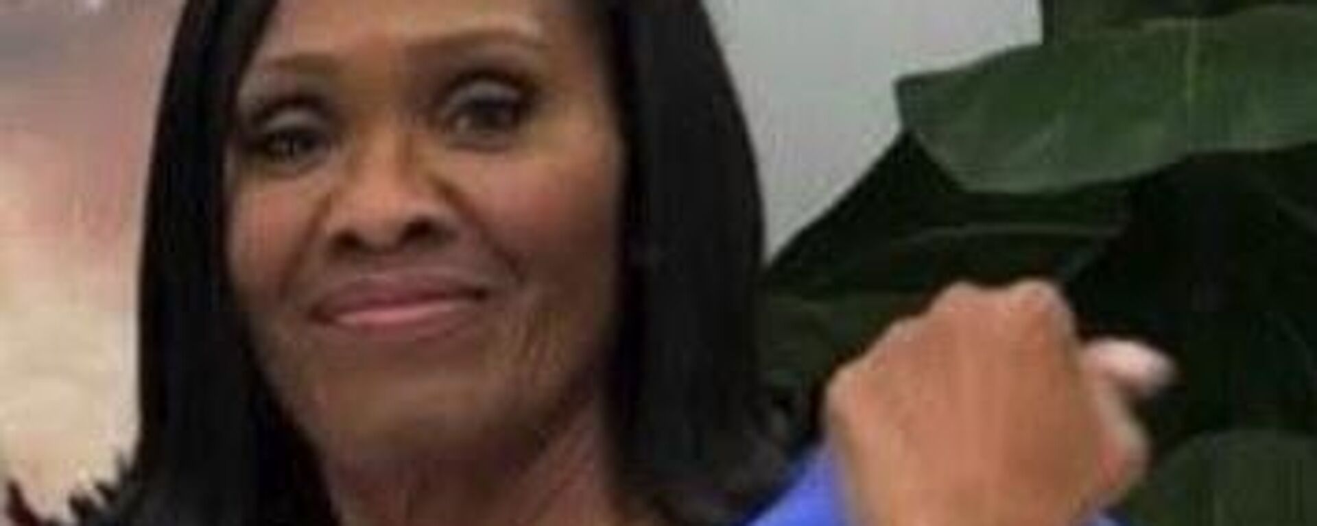 Американская актриса Ди Фриман - Sputnik Беларусь, 1920, 04.04.2026