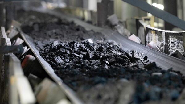 Руда на золотоизвлекательной фабрике - Sputnik Беларусь