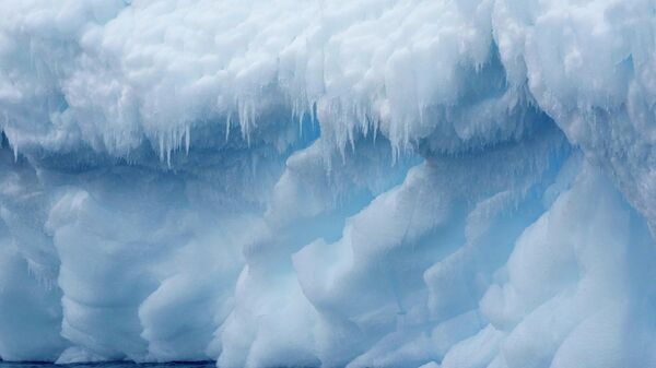 Антарктида - Sputnik Беларусь