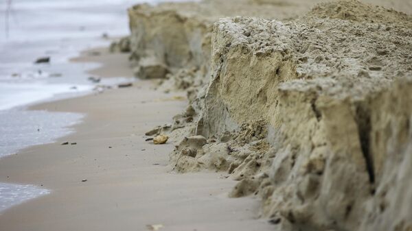 Пляжи Краснодарского края после ЧП с мазутом снова будут открыты для туристов
