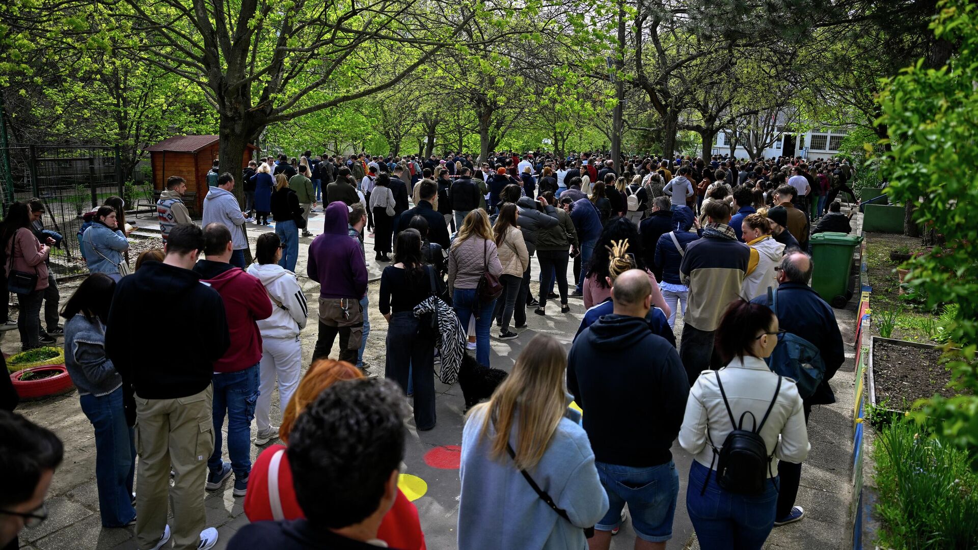 Явка на выборах в Венгрии достигла рекордных 74%