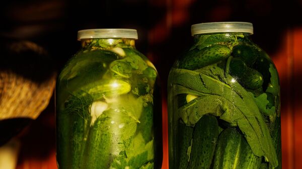 Беларусь стала главным покупателем российских консервированных огурцов