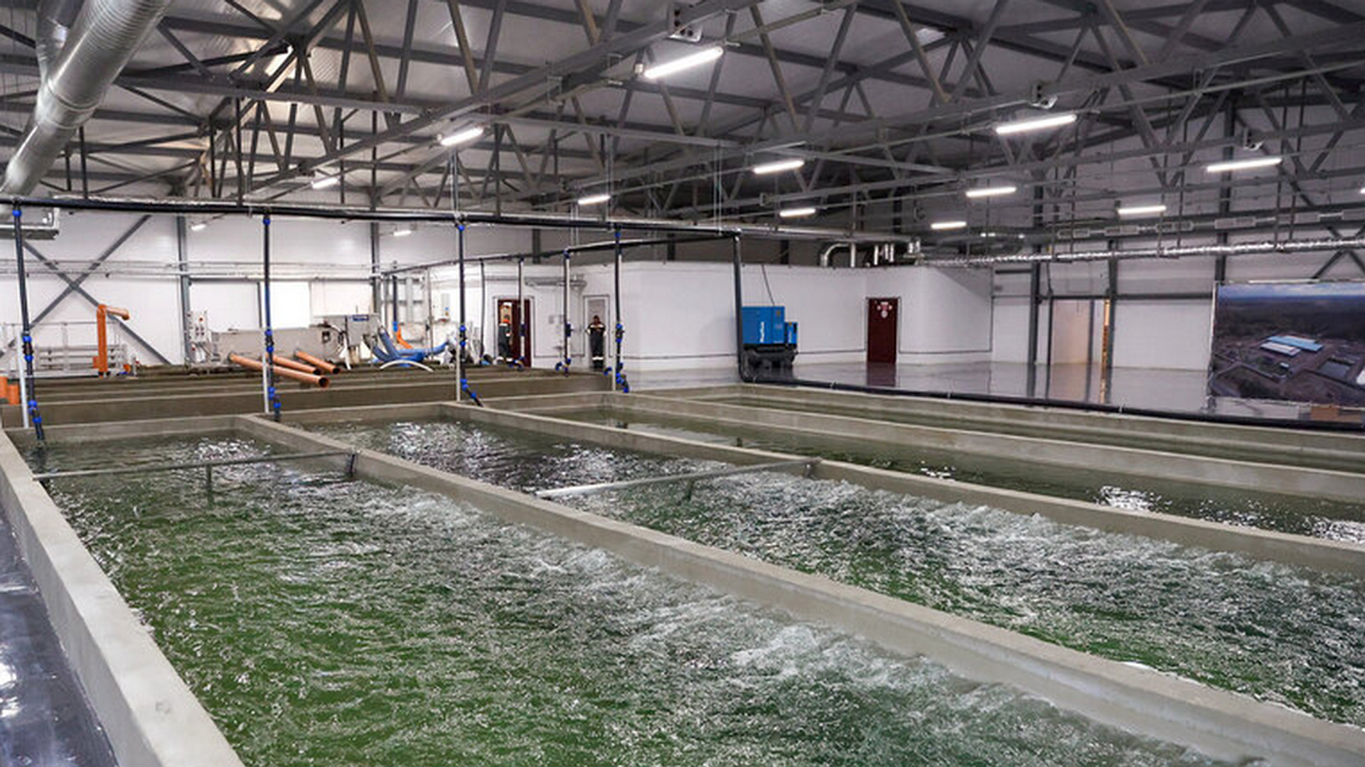 Лукашенко посещает Могилевскую область Лукашенко посещает Могилевскую область