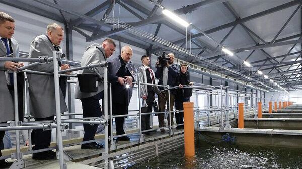 Прэзідэнт Беларусі Аляксандр Лукашэнка пры наведванні рыбгаса Палуж - Sputnik Беларусь