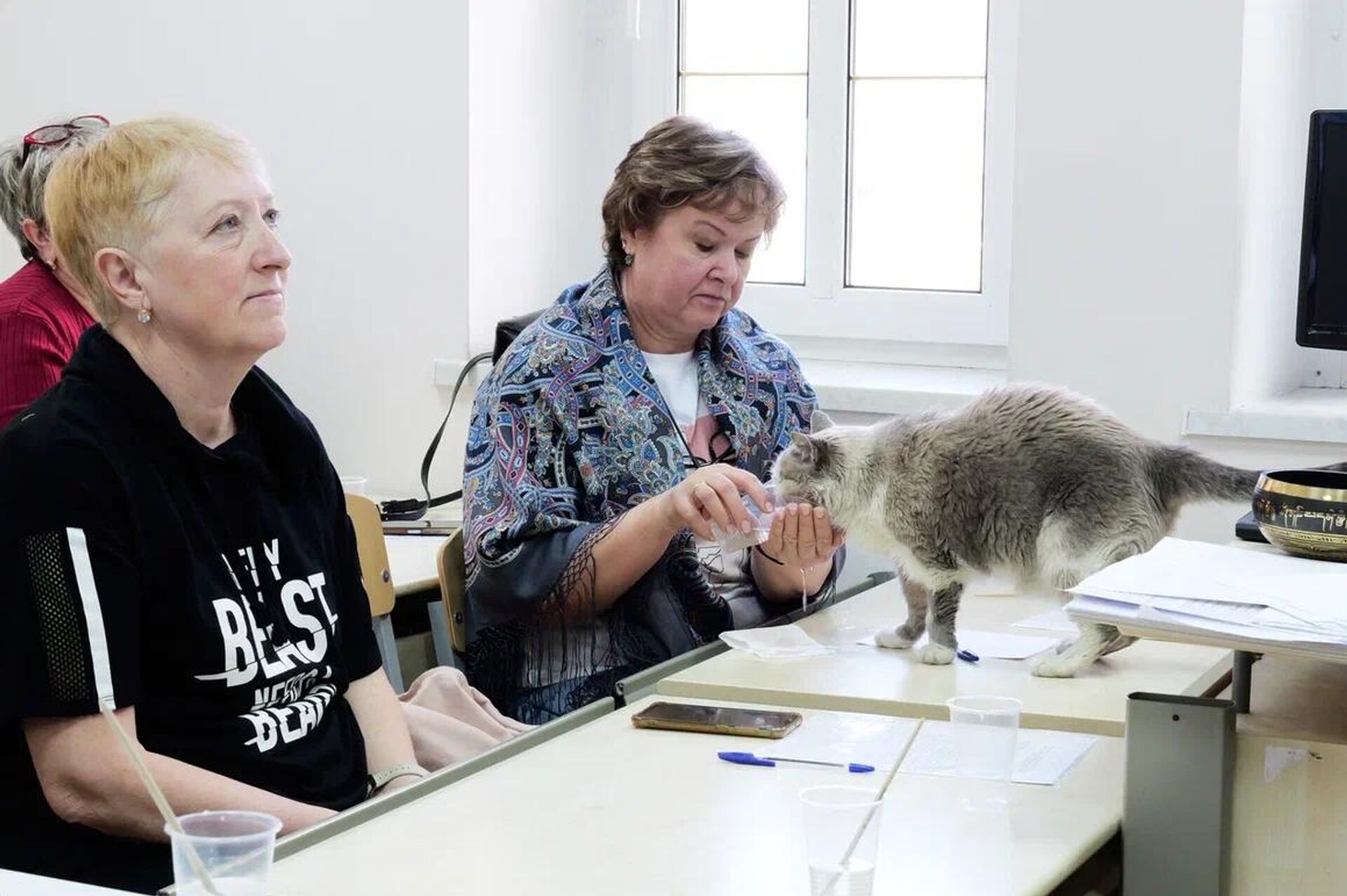 Группа родственников погибших на СВО бойцов на мероприятиях программы духовно-психологической реабилитации - Sputnik Беларусь, 1920, 14.04.2026