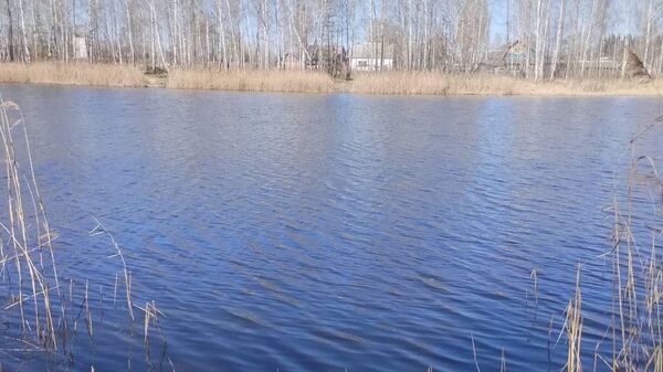 Хотел, но не смог: переплывавший озеро мужчина утонул в Кормянском районе