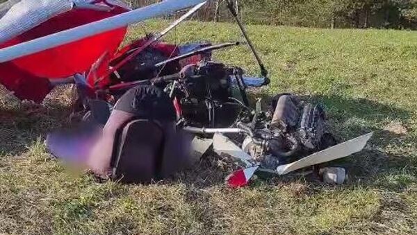 Два человека погибли при падении мотодельтаплана в Минском районе