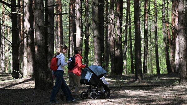 Прогулка в лесу - Sputnik Беларусь