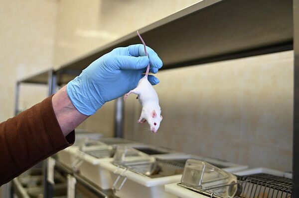 Лабораторные животные - Sputnik Беларусь