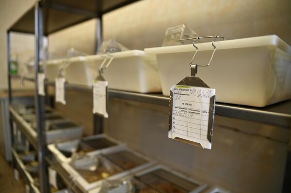 В лаборатории института - Sputnik Беларусь