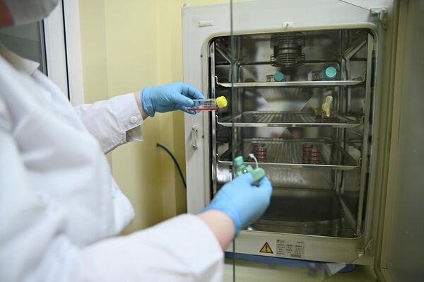 В чистой зоне работают с клетками живых организмов, используя современные высокоточные микроскопы - Sputnik Беларусь