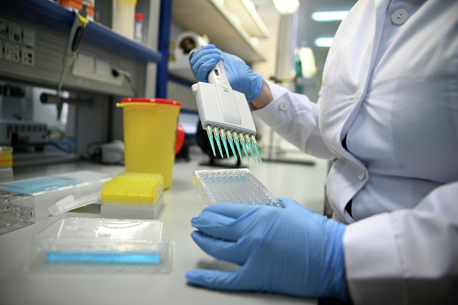 В лаборатории Института радиобиологии - Sputnik Беларусь, 1920, 15.04.2026