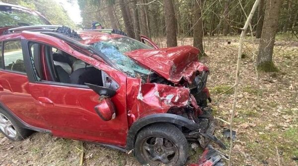 Косуля спровоцировала смертельное ДТП в Пуховичском районе