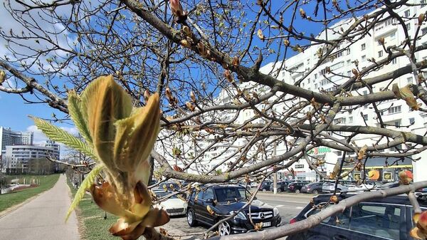 Синоптики пообещали достаточно комфортный четверг белорусам 