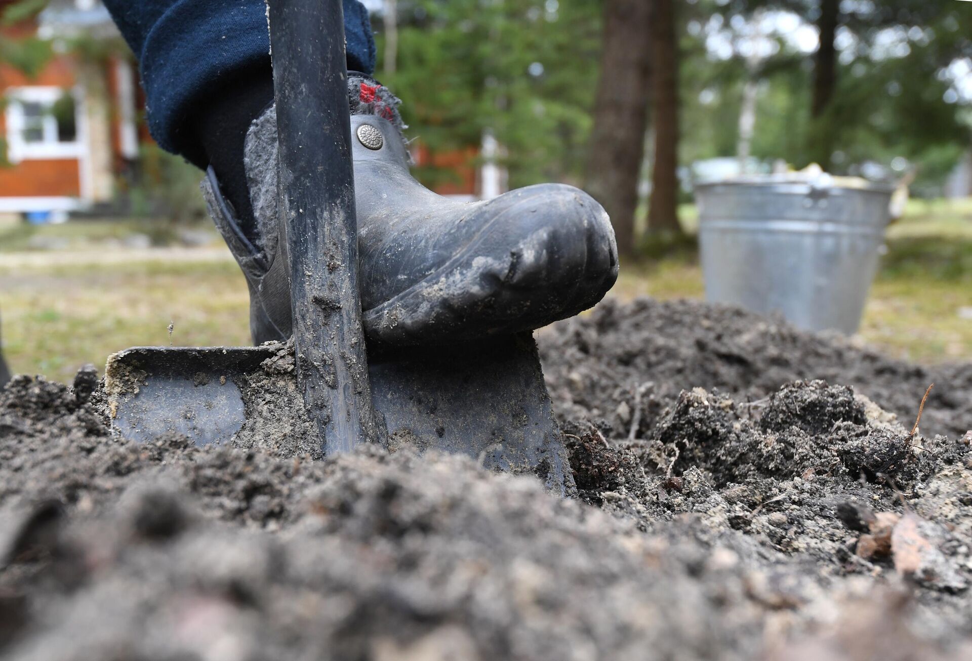 Открытие дачного сезона - Sputnik Беларусь, 1920, 16.04.2026