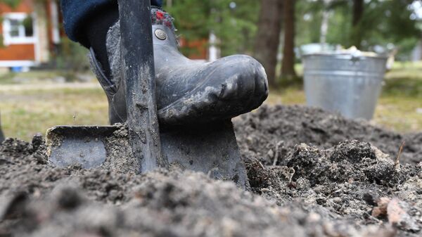Работы на огороде, архивное фото - Sputnik Беларусь