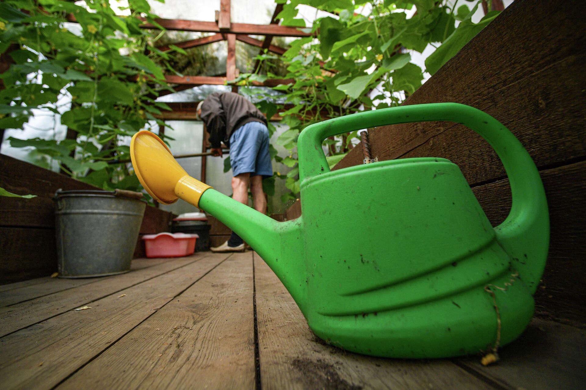 Для пожилых людей даже полив грядок может быть опасным - Sputnik Беларусь, 1920, 16.04.2026