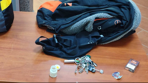 В пункте пропуска  Григоровщина выявлен факт ввоза таблеток, содержащих психотропные вещества - Sputnik Беларусь