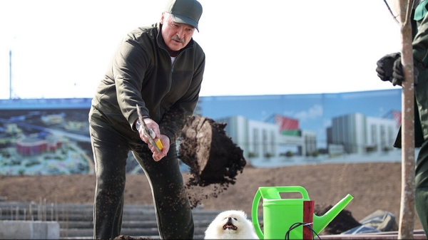 Президент Беларуси Александр Лукашенко 18 апреля во время республиканского субботника - Sputnik Беларусь