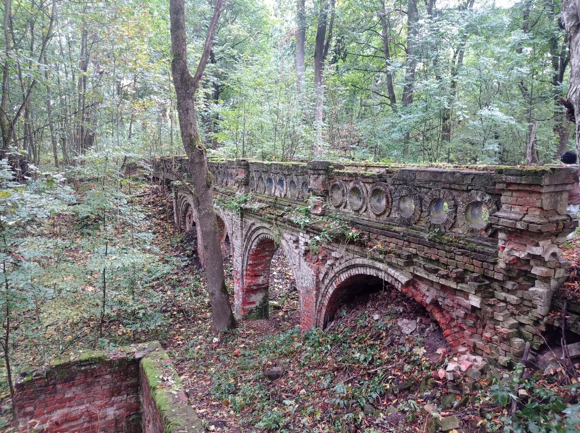 Усадьба Герардов в деревне Демьянки в зоне отселения Добрушского района. - Sputnik Беларусь, 1920, 22.04.2026