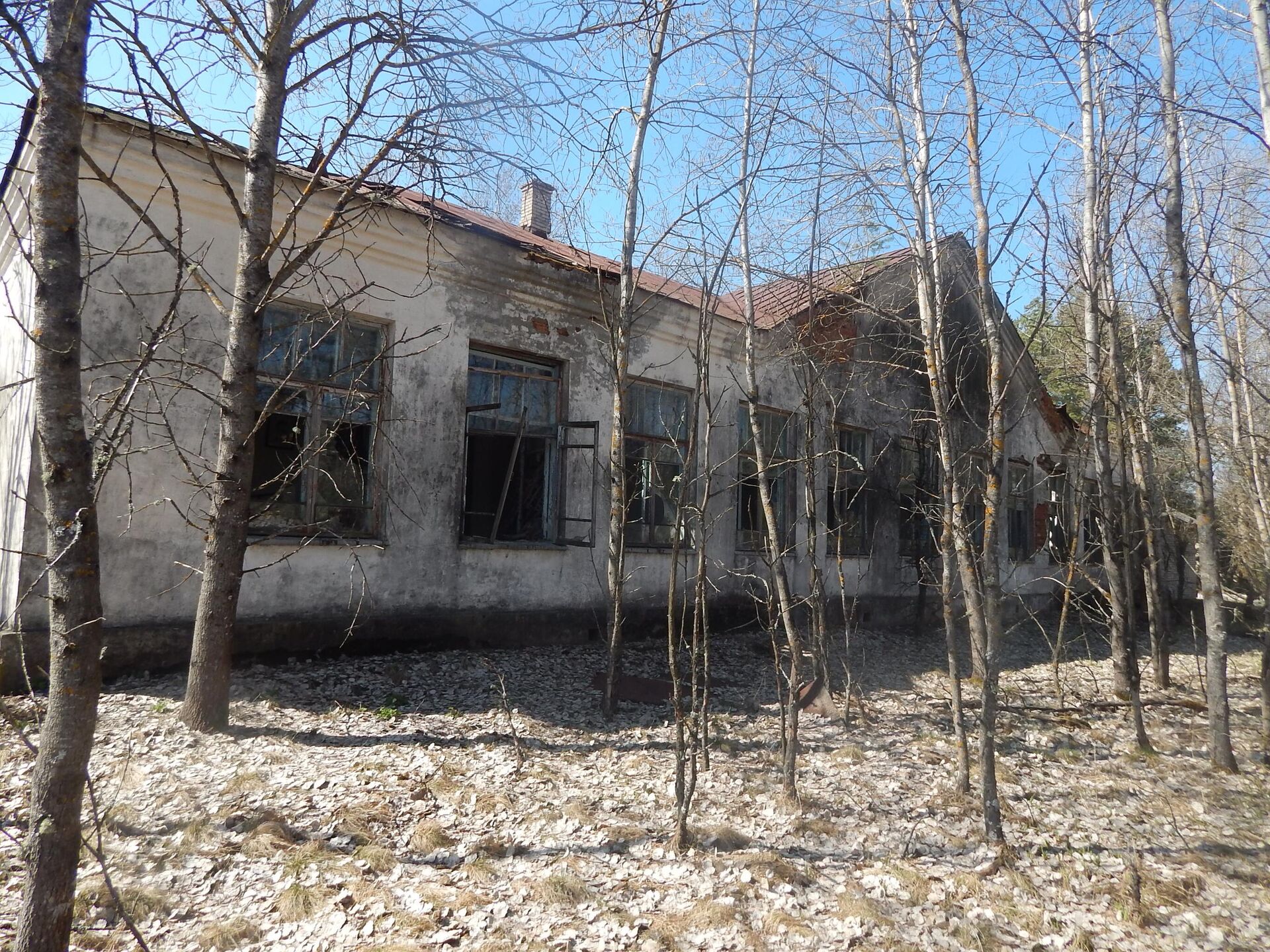 Надточаевка — деревня-призрак в Наровлянском районе Гомельской области, расположенная внутри белорусской зоны отчуждения - Sputnik Беларусь, 1920, 22.04.2026