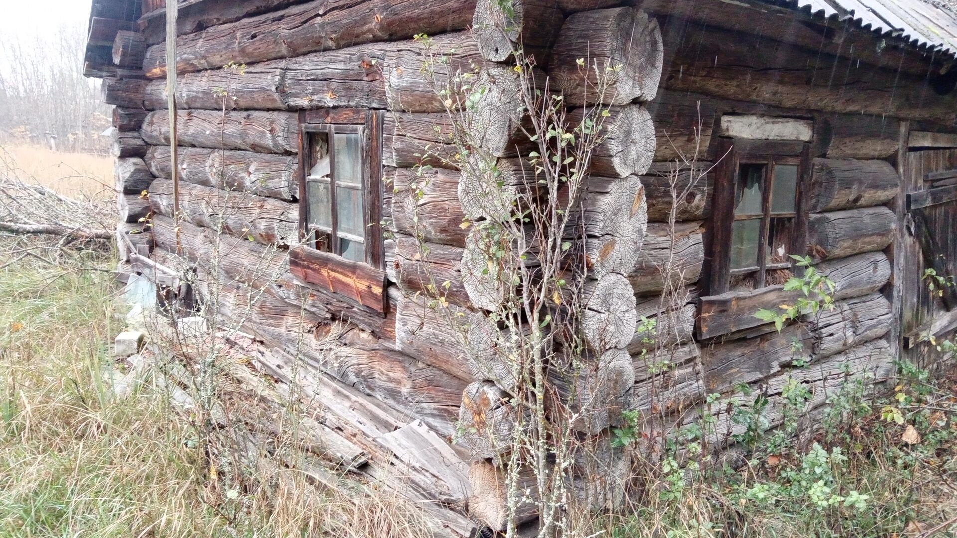 Надточаевка — деревня-призрак в Наровлянском районе Гомельской области, расположенная внутри белорусской зоны отчуждения - Sputnik Беларусь, 1920, 22.04.2026
