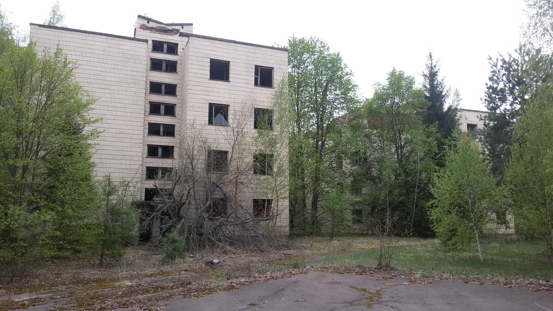 Заброшенный поселок в белорусской зоне отчуждения - Sputnik Беларусь, 1920, 22.04.2026