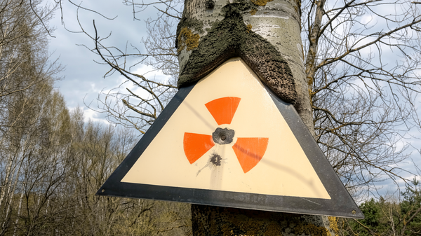 Белорусская зона отчуждения - Sputnik Беларусь