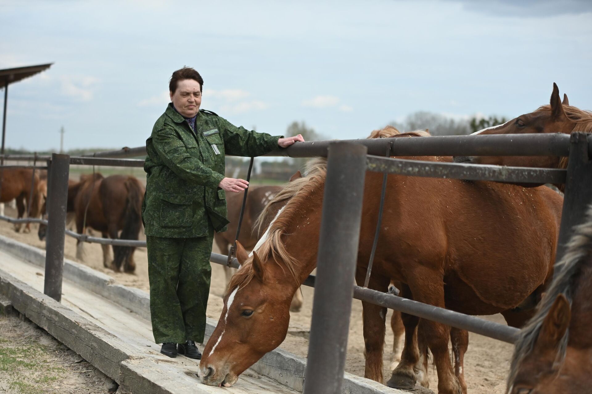 Ведущий зоотехник Оревичского лесничества Елена Болдырева - Sputnik Беларусь, 1920, 23.04.2026