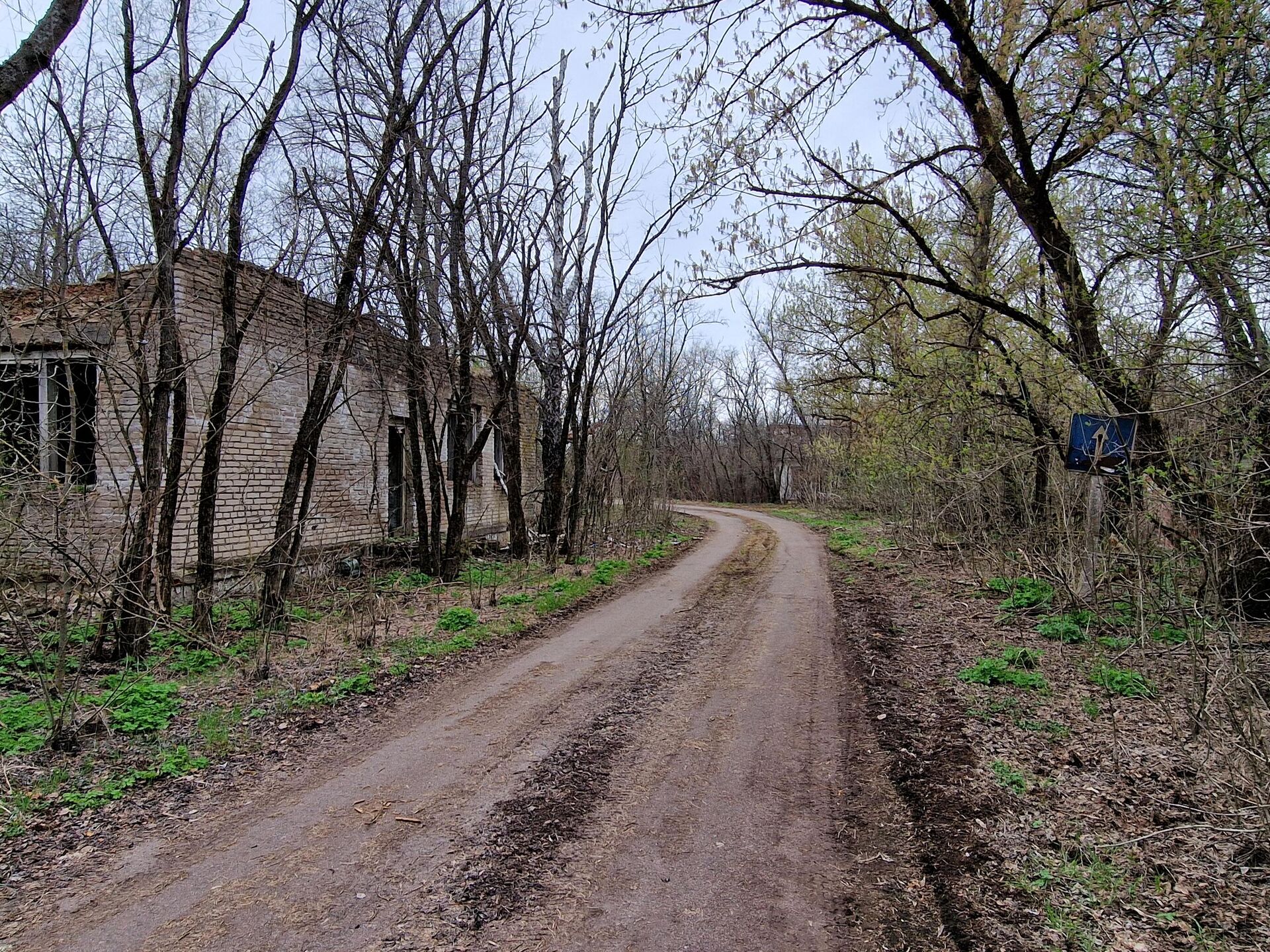 Сельская дорога в зоне отчуждения - Sputnik Беларусь, 1920, 23.04.2026