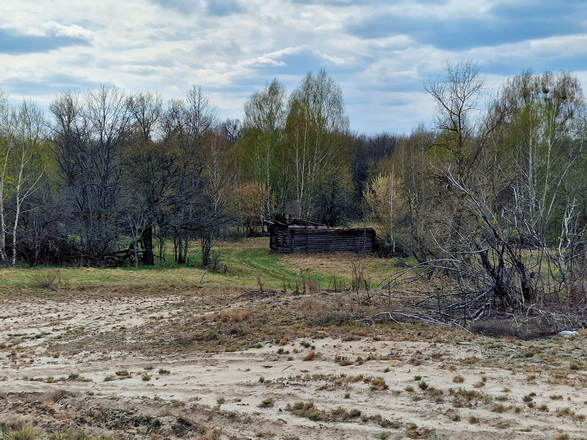 Деревня Красноселье в зоне отчуждения - Sputnik Беларусь, 1920, 23.04.2026