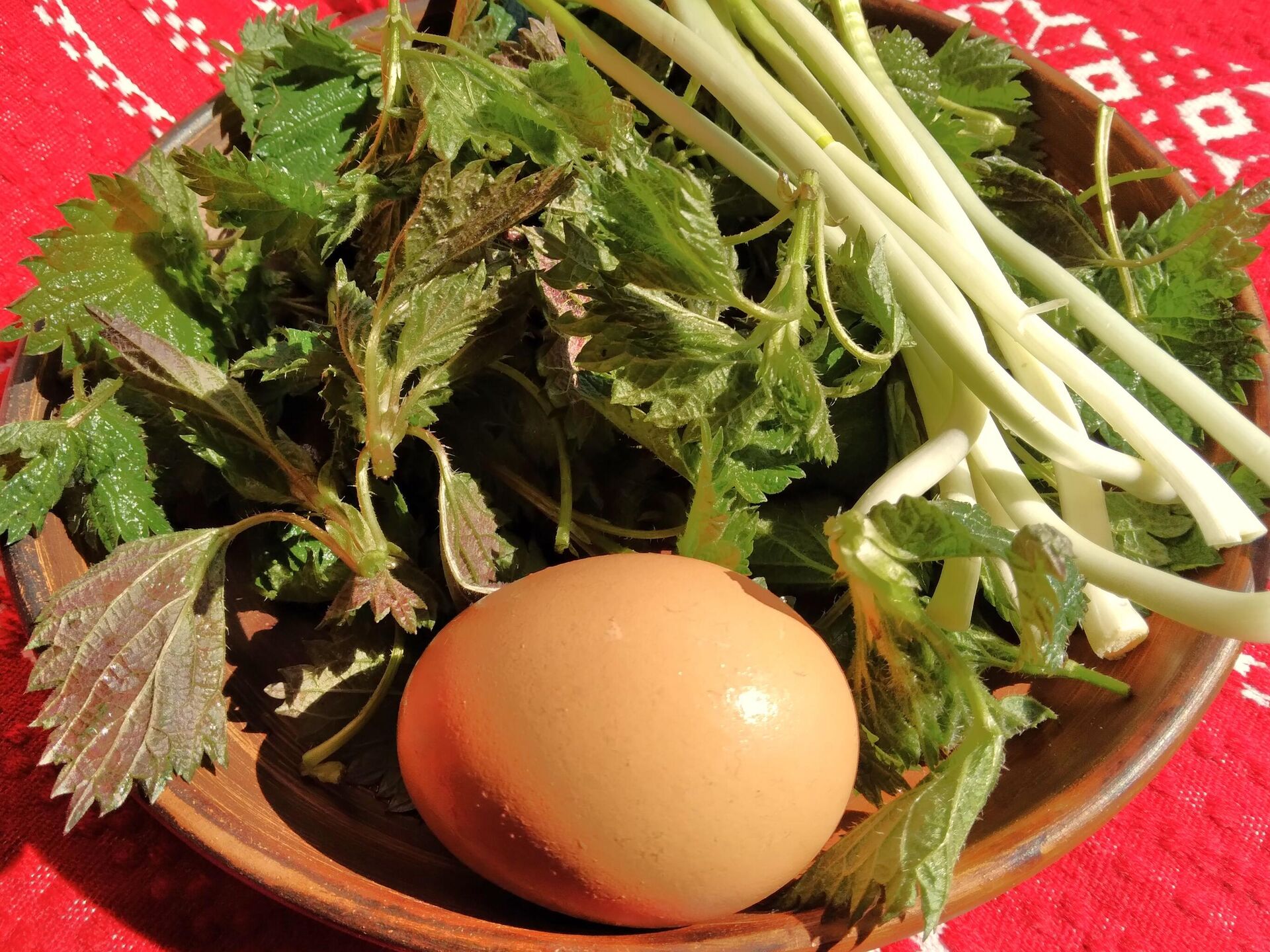 Крапіва, цыбуля, яйка – усё, што трэба для салаты - Sputnik Беларусь, 1920, 23.04.2026