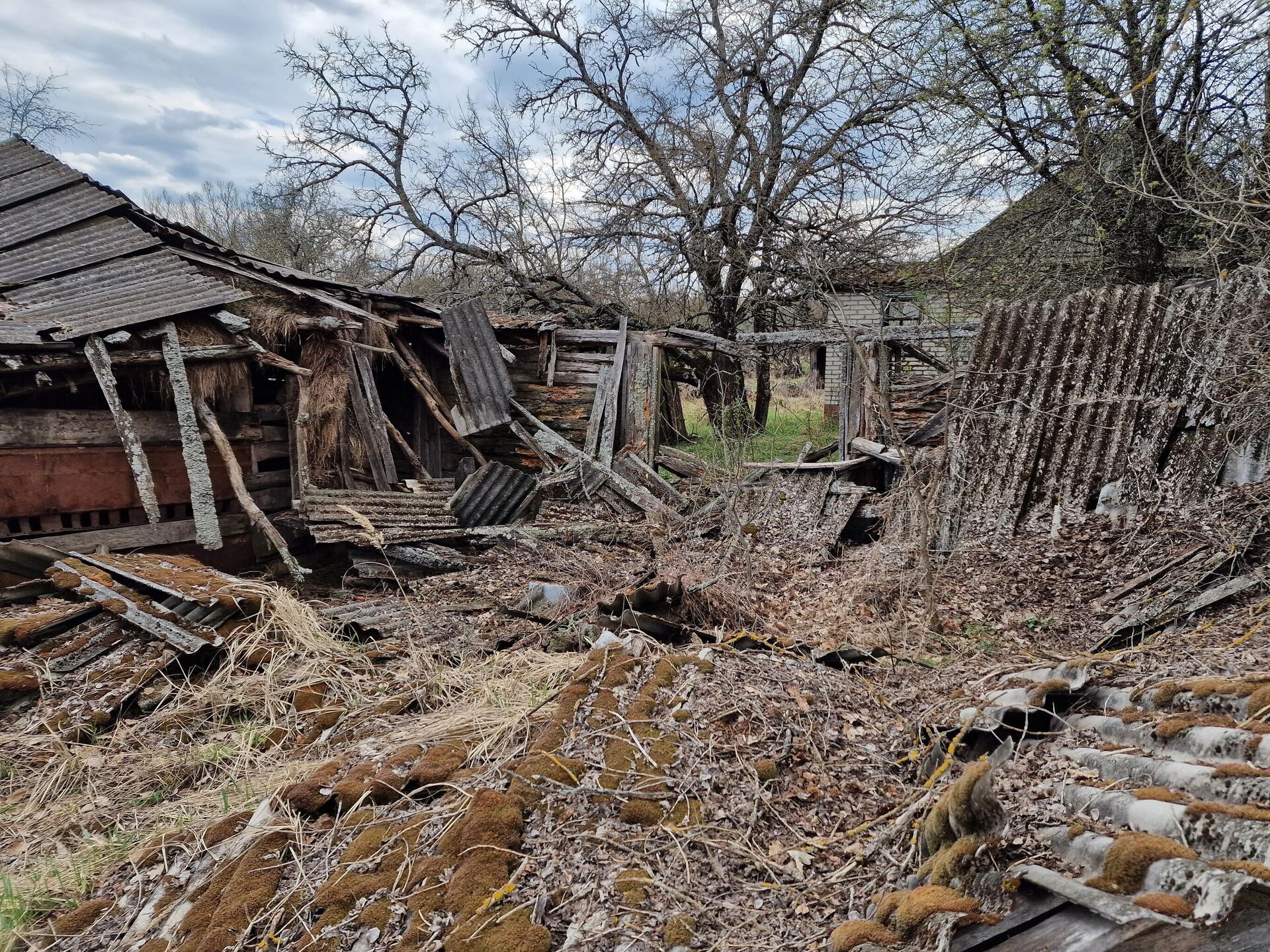 Заброшенное подворье в деревне Красноселье - Sputnik Беларусь, 1920, 23.04.2026