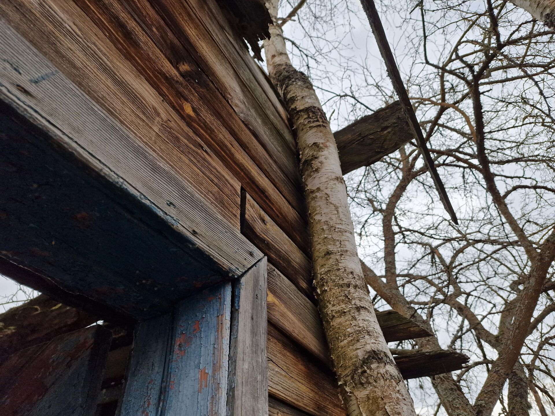 Природа забирает то, что когда-то было создано человеком - Sputnik Беларусь, 1920, 23.04.2026