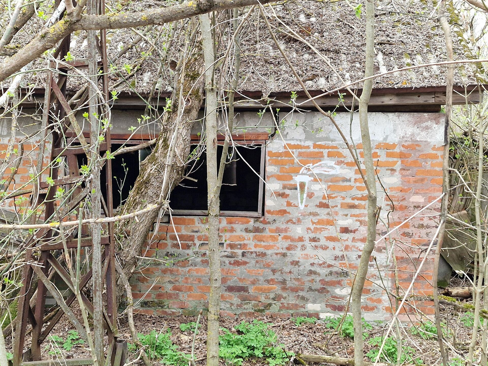 Граффити на заброшенном гараже - Sputnik Беларусь, 1920, 23.04.2026