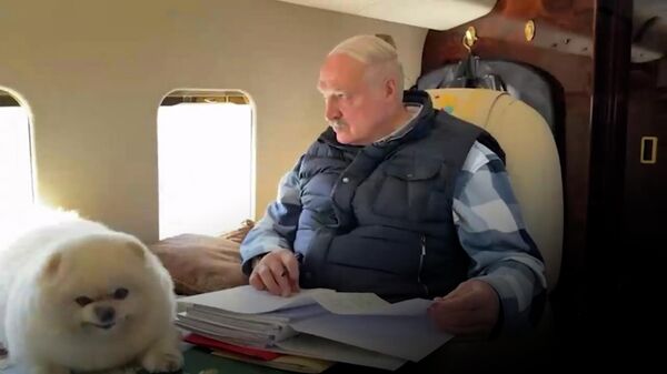 С Умкой на вертолете: Лукашенко инспектирует ход посевной в Минской области - Sputnik Беларусь