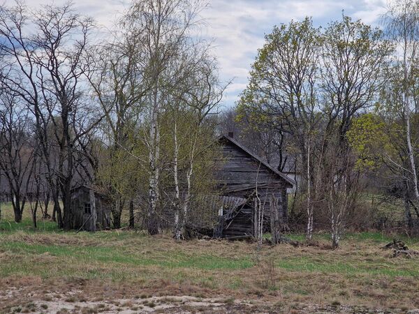 Время берет свое – такие разрушенные дома можно увидеть по всей зоне отчуждения. - Sputnik Беларусь