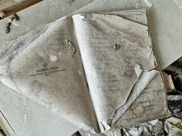 Чернила в тетрадях выцвели, но при желании можно разобрать написанное. - Sputnik Беларусь