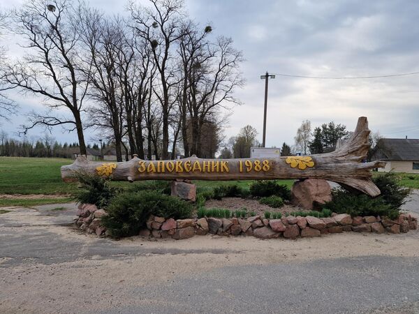 В 1988-м году в зоне отчуждения был создан Полесский государственный радиационно-экологический заповедник. - Sputnik Беларусь