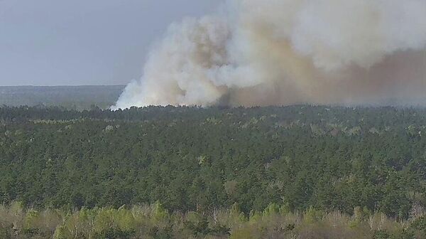 Пожар в Пинском районе - Sputnik Беларусь