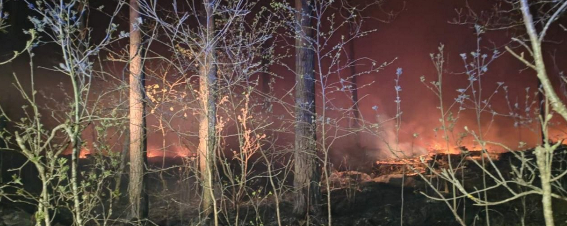 Лесной пожар в Пинском районе - Sputnik Беларусь, 1920, 24.04.2026