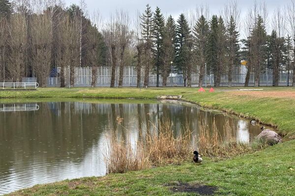 Территория детского реабилитационно-оздоровительного центра Ждановичи - Sputnik Беларусь