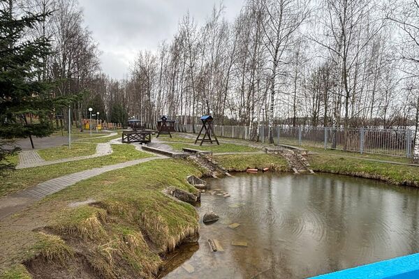 Территория детского реабилитационно-оздоровительного центра Ждановичи - Sputnik Беларусь