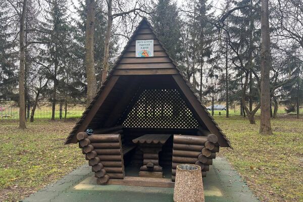 Территория детского реабилитационно-оздоровительного центра Ждановичи - Sputnik Беларусь