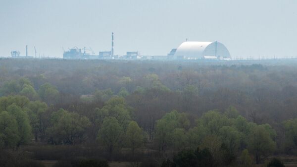 Вид на саркофаг Чернобыльской АЭС з белорусской зоны отчуждения - Sputnik Беларусь